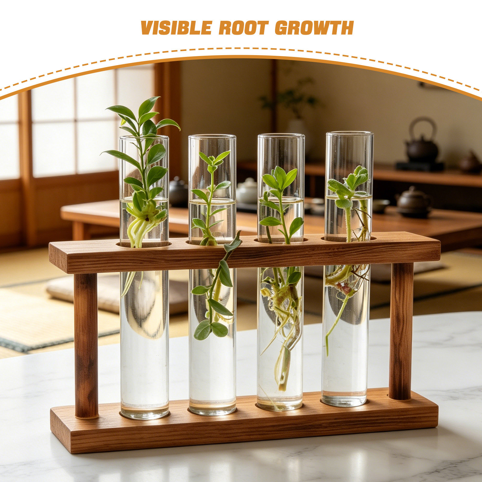 Wood Plant Propagation Station - огляд і ціна Propagation Station Vase