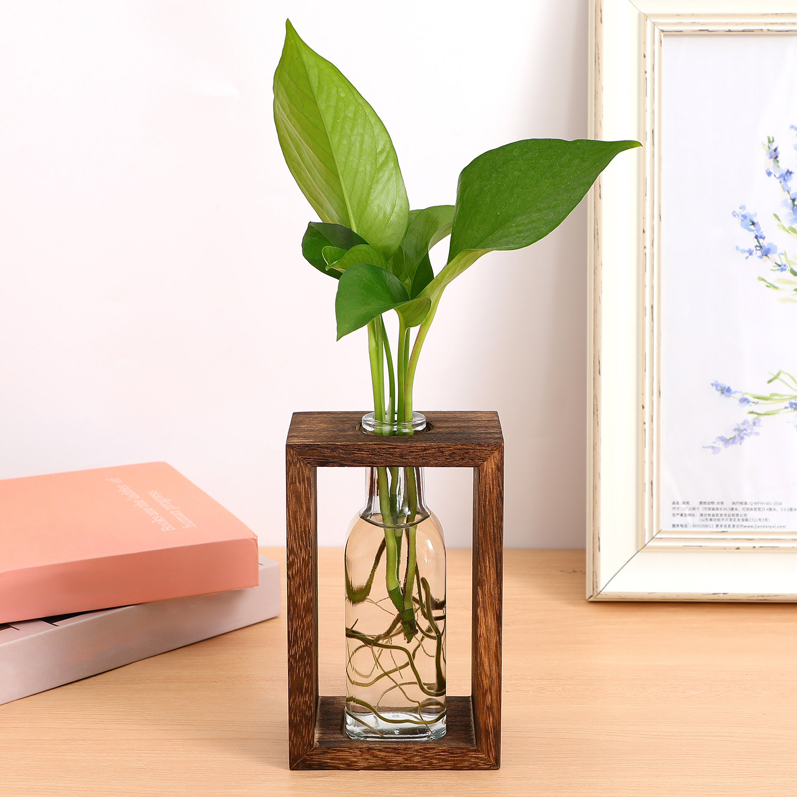 1Set Wooden Hydroponic Plant P - огляд і ціна Propagation Station Vase