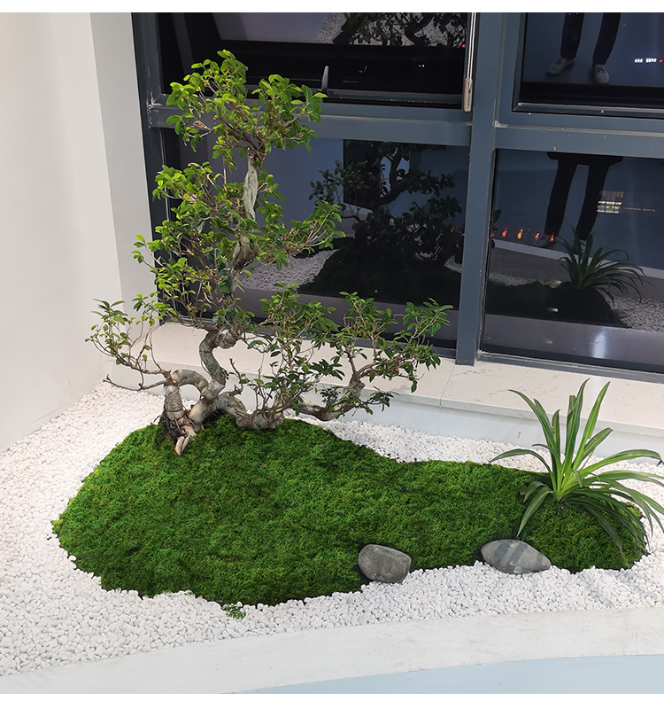 Artificial moss filaments moss - огляд і ціна Sphagnum Moss Dry