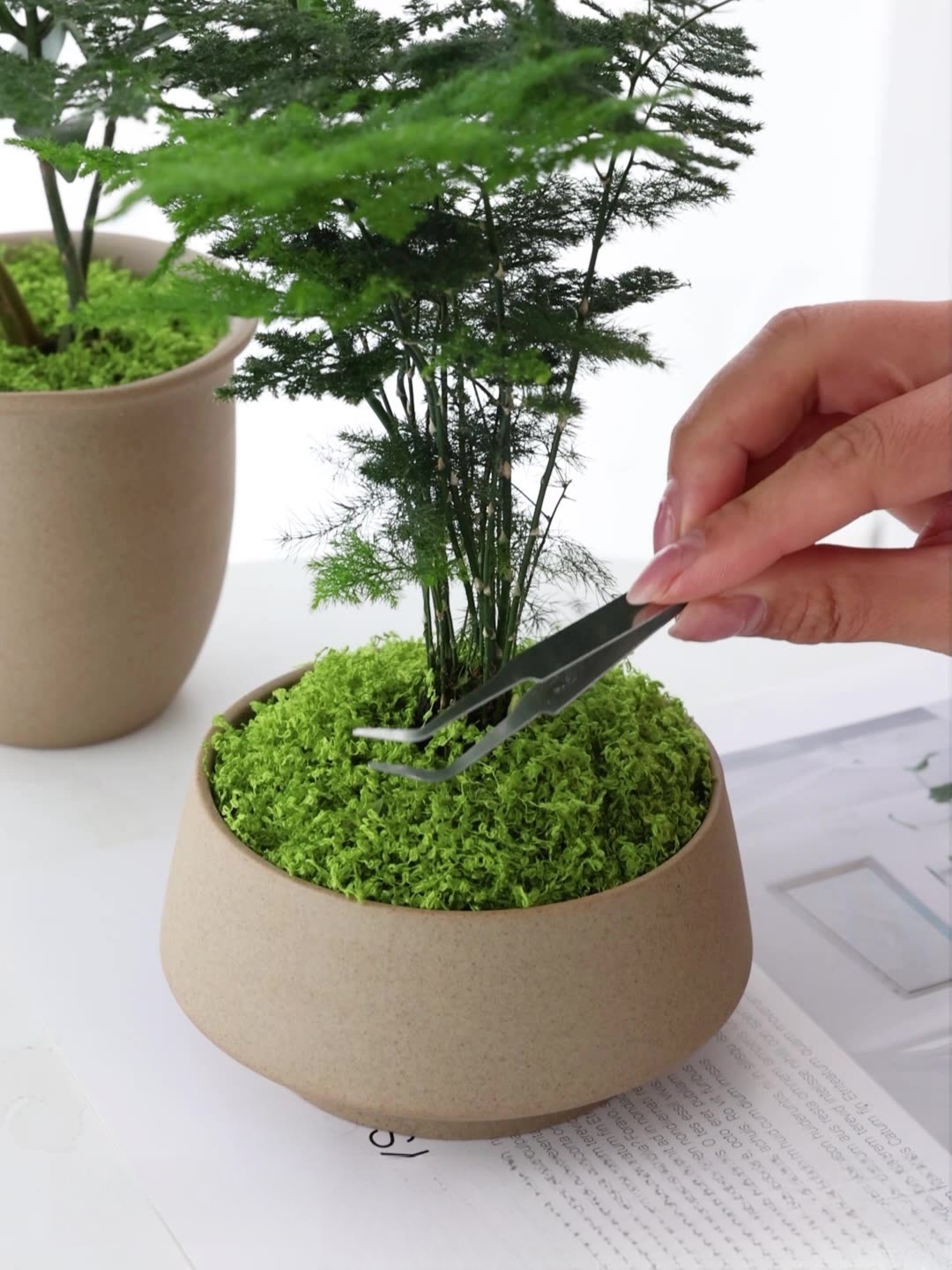Artificial moss filaments moss - огляд і ціна Sphagnum Moss Dry