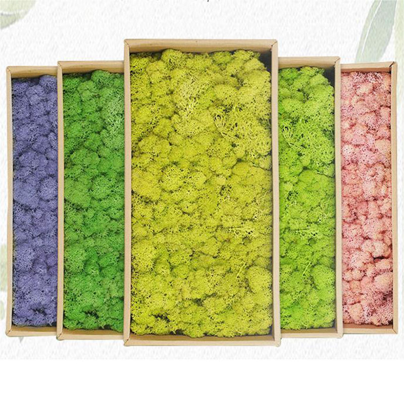 20g Artificial Green Plants Et - огляд і ціна Sphagnum Moss Dry
