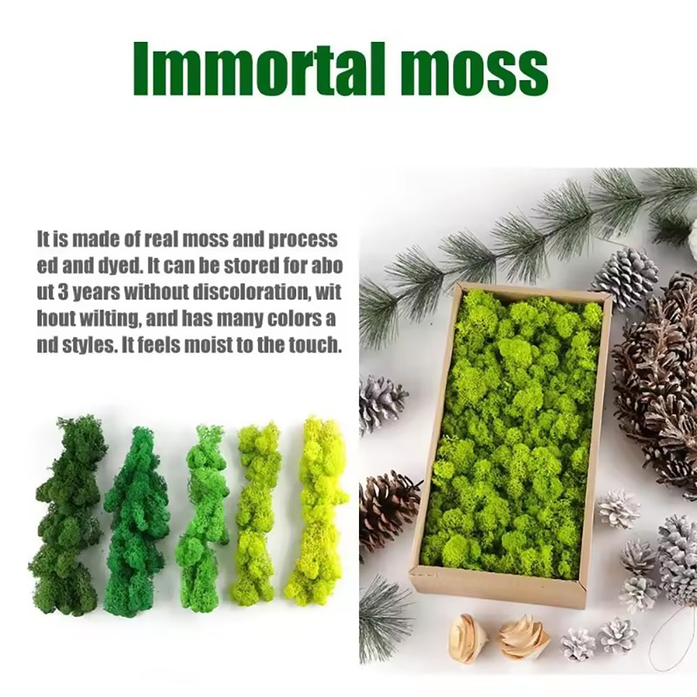 200/500g Eternal Life Fake Mos - огляд і ціна Sphagnum Moss Dry